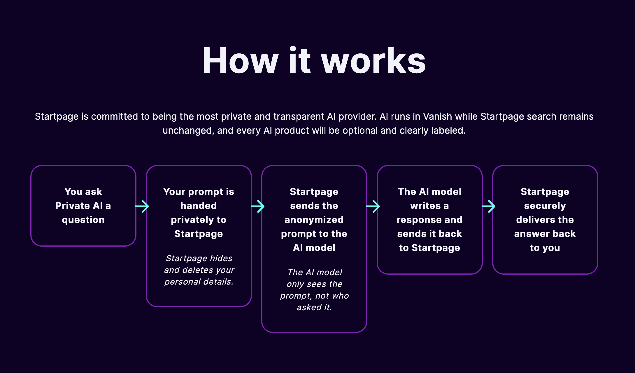 Vanish Private AI app